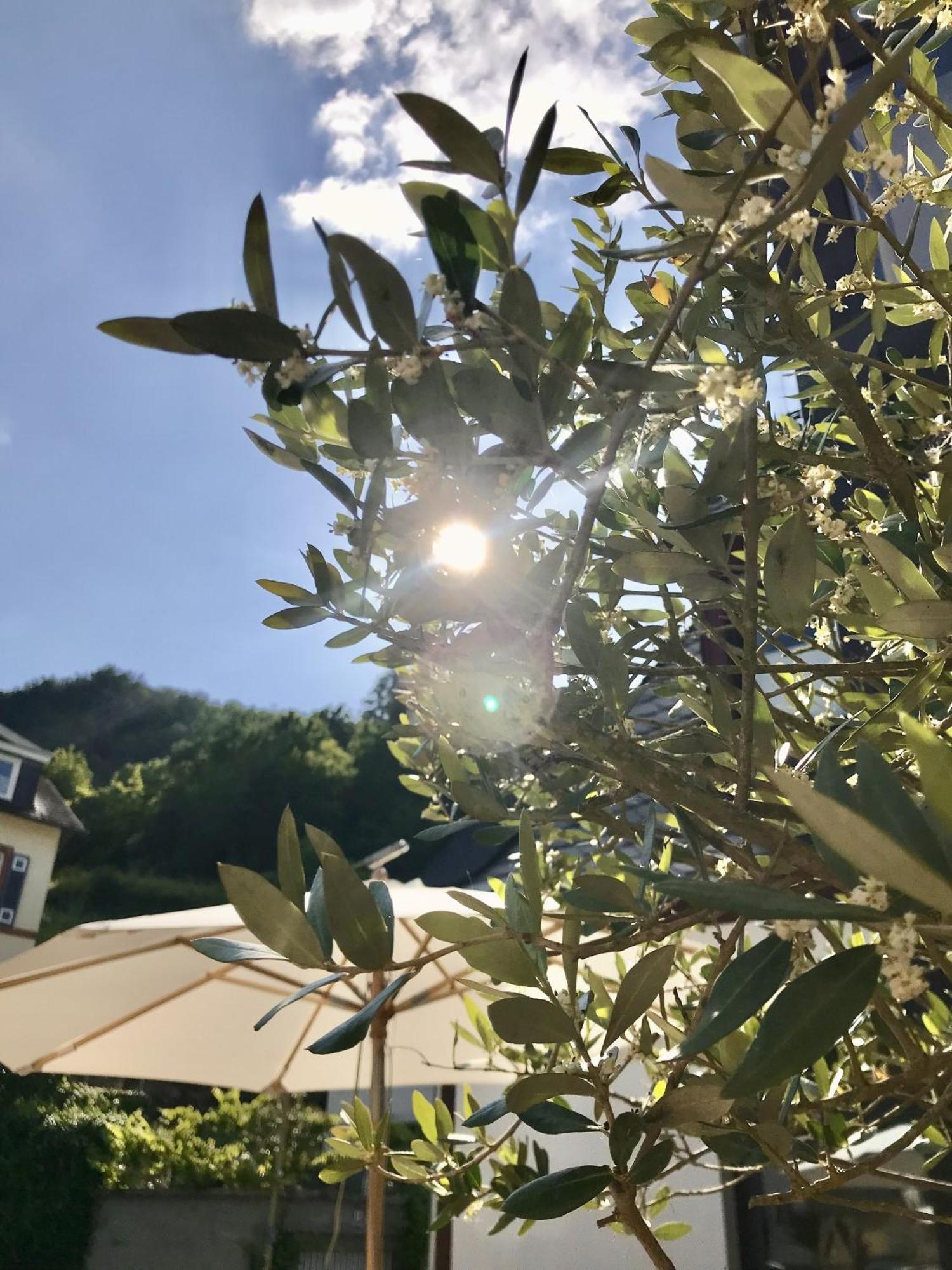 Vie Hotel Cochem